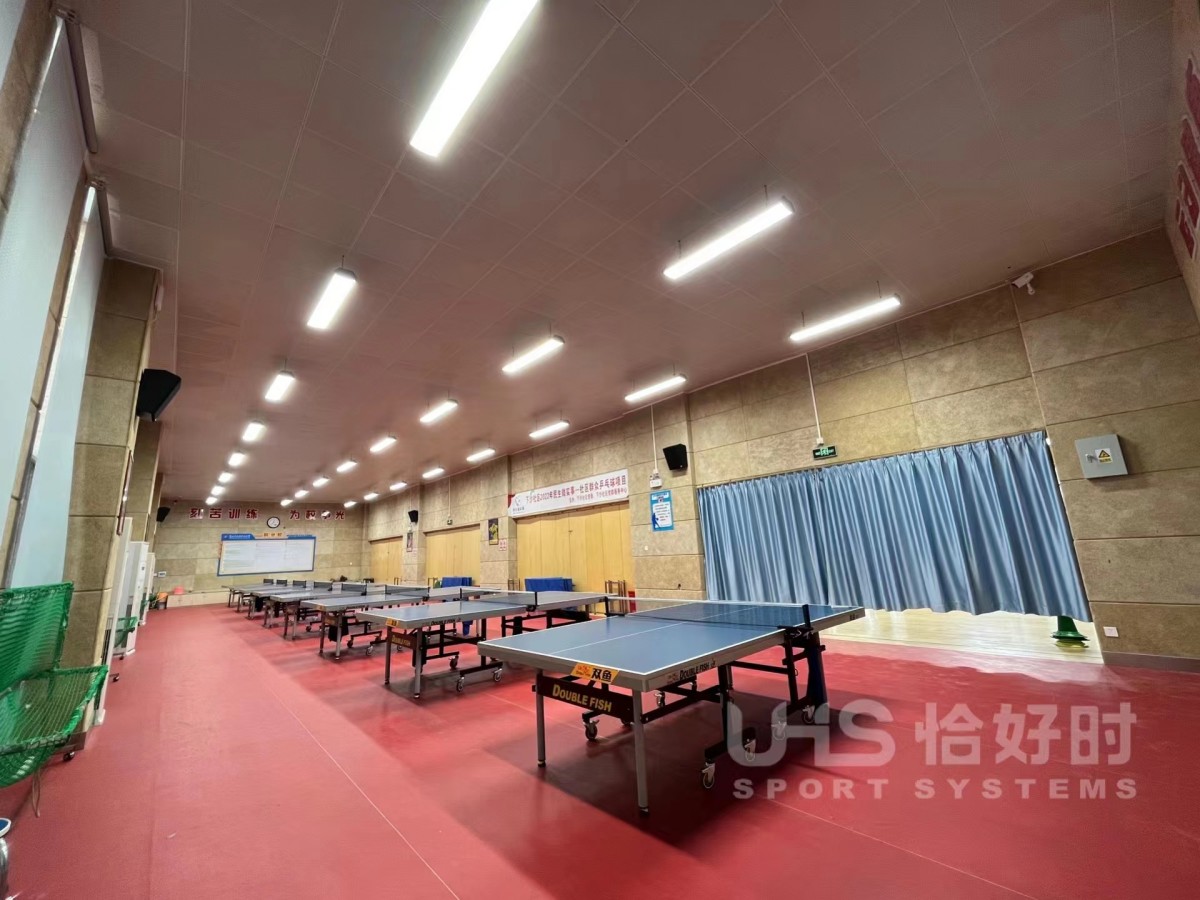 LB Series Professional Badminton Court Light 1 led lighting systems for indoor table tennis