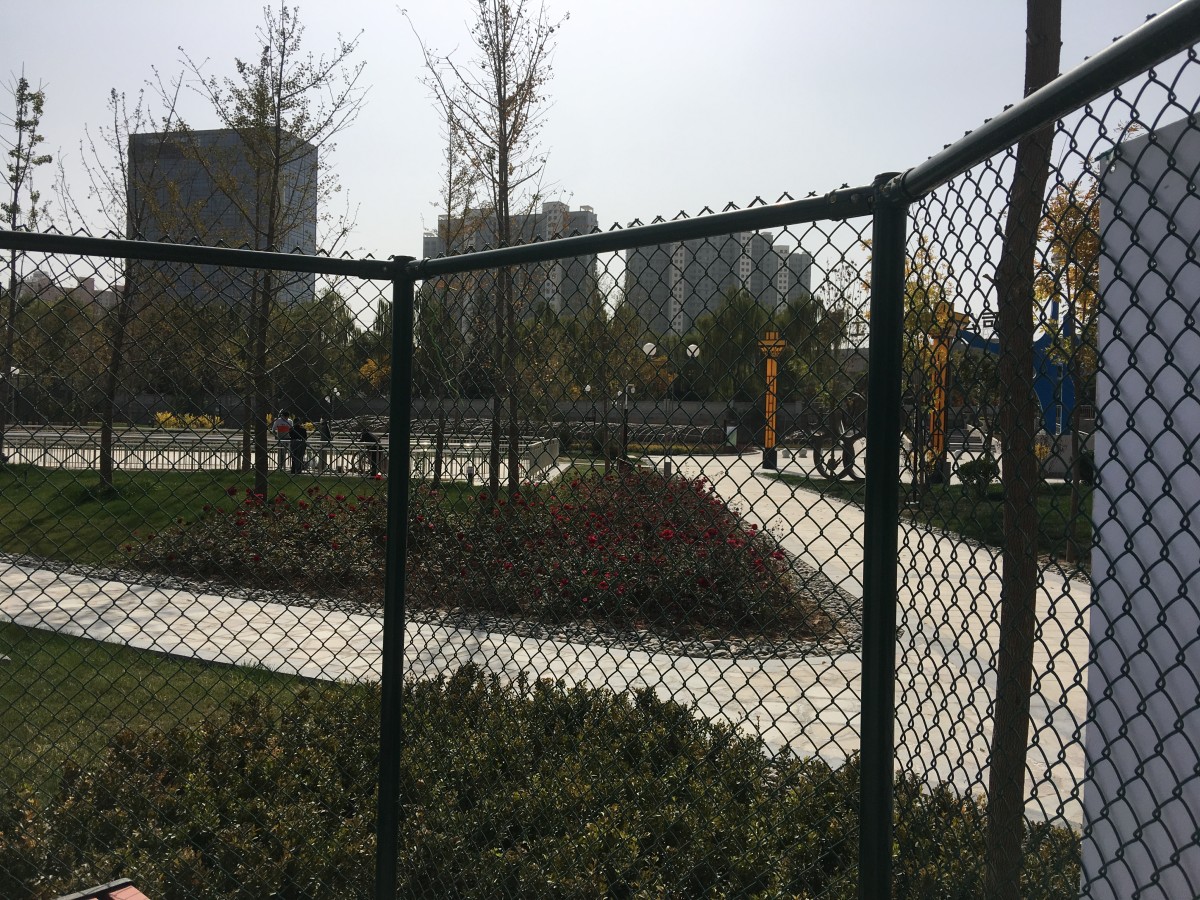 forest green color park fence surround the garden