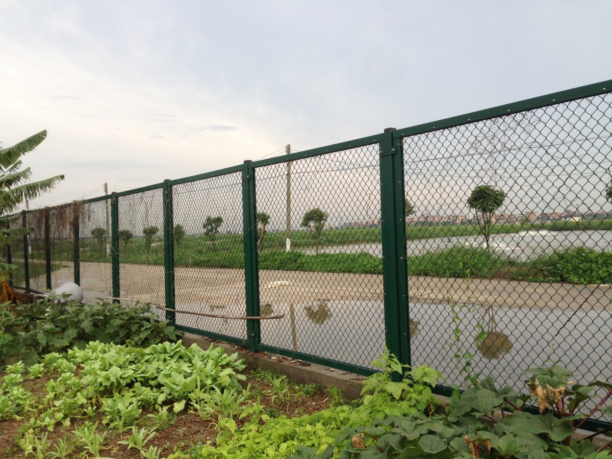 forest green color park fence surround the road